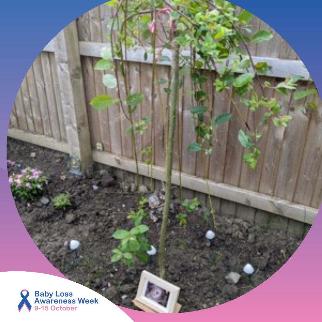 Amber's tree to remember Willow
